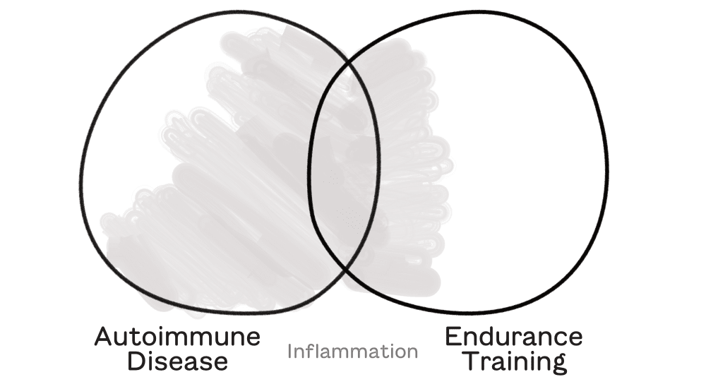 Inflammation Demystified: Where Endurance Training and Autoimmunity Meet