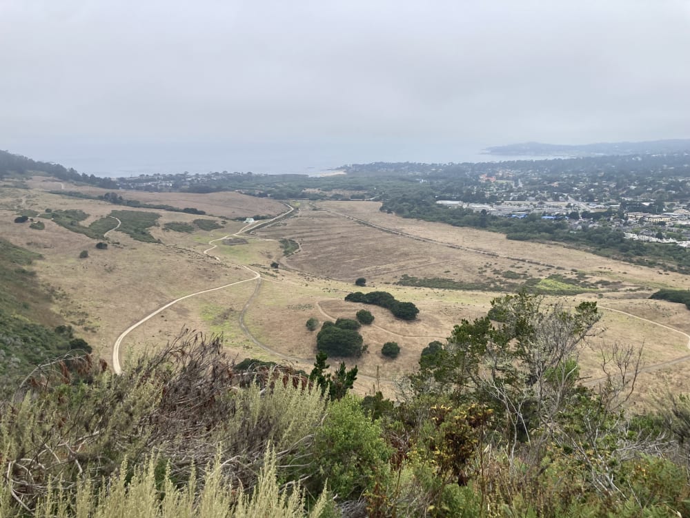 Looking at the week from Inspiration Point