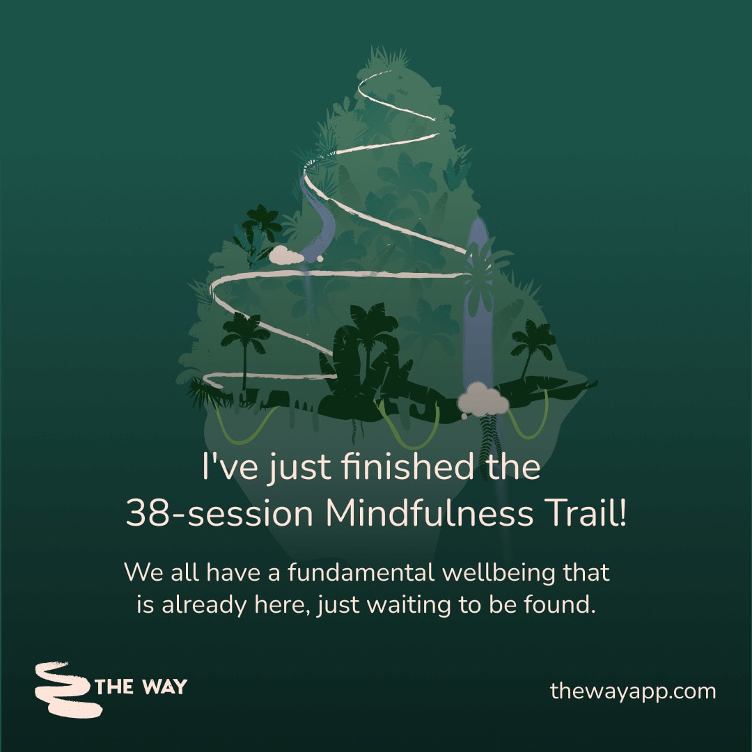 Halfway Through the Meditation Challenge