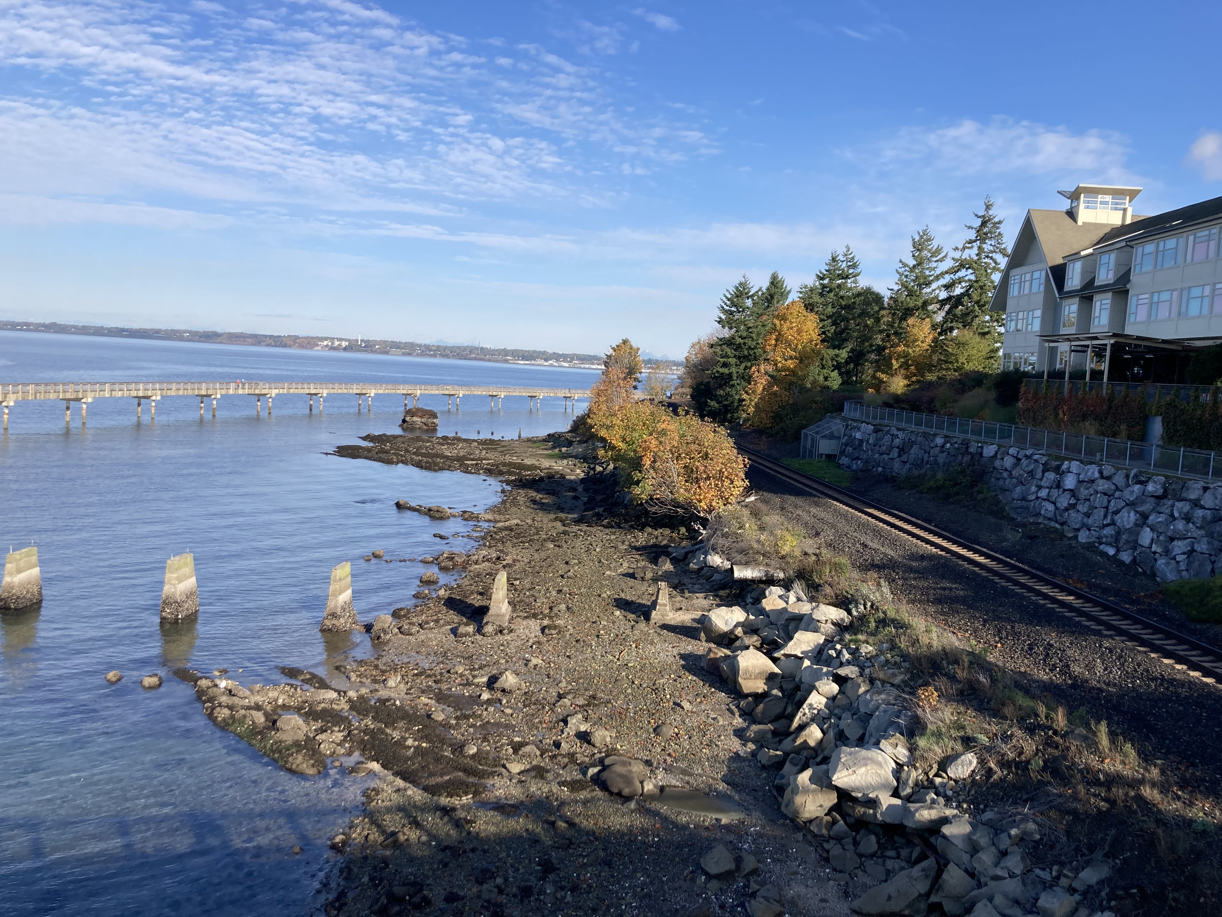 Running 6.6 in Bellingham
