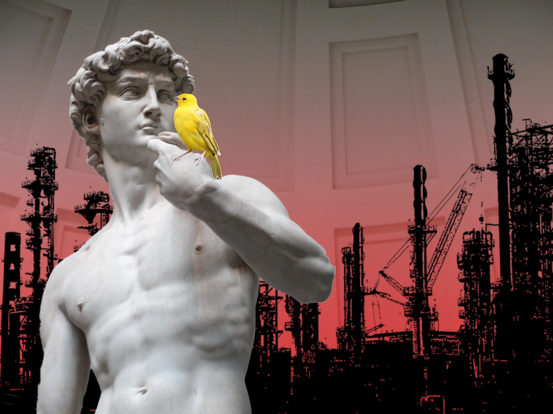 The Plastic Lurking in Your ‘Perfect’ David Protein Bar
