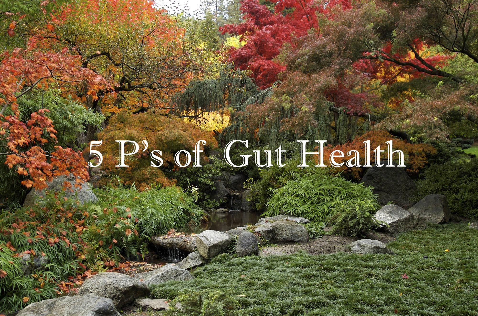 The 5 P’s of Gut Health