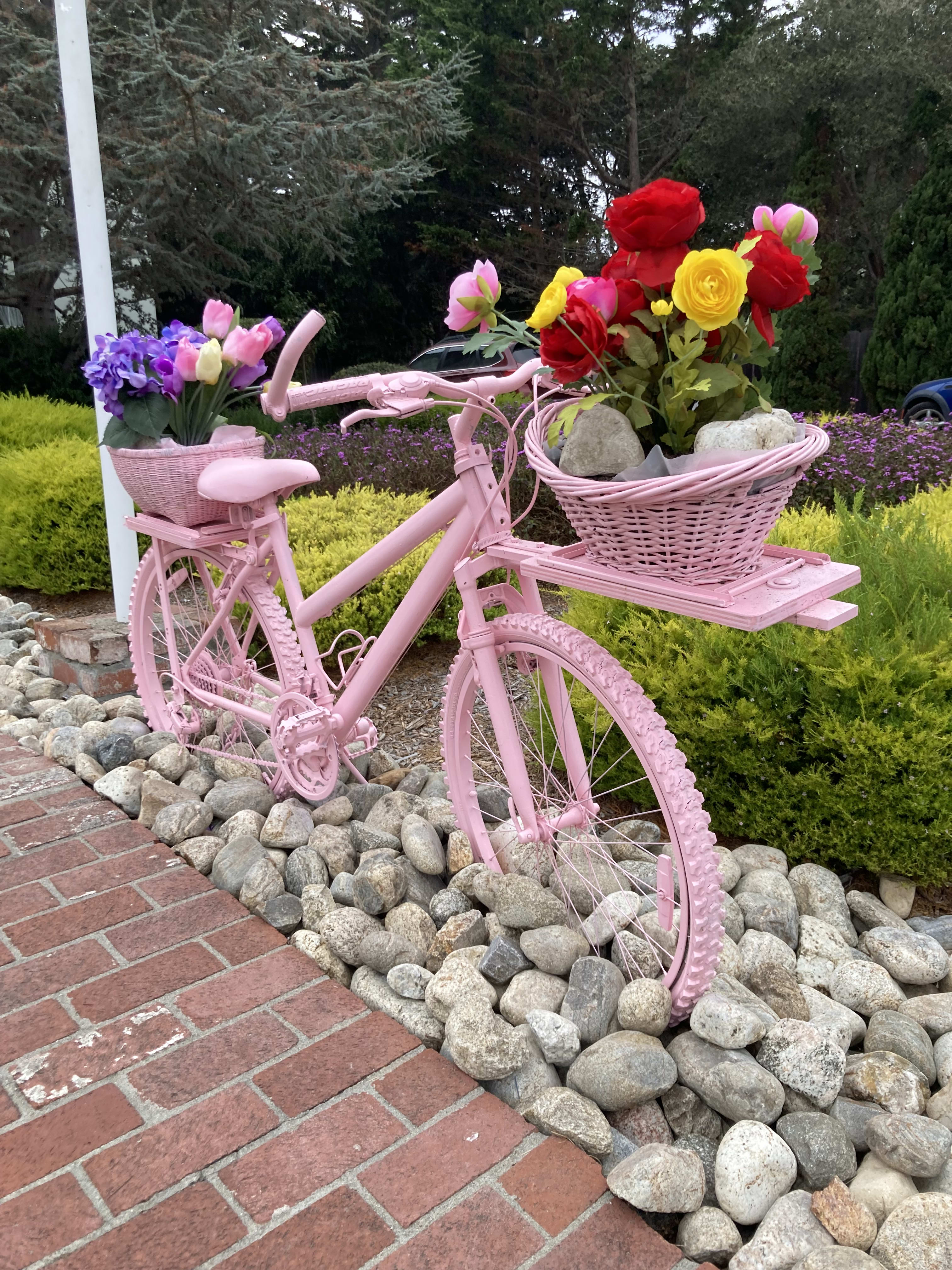 Happy Equinox With Pink Bike Energy 