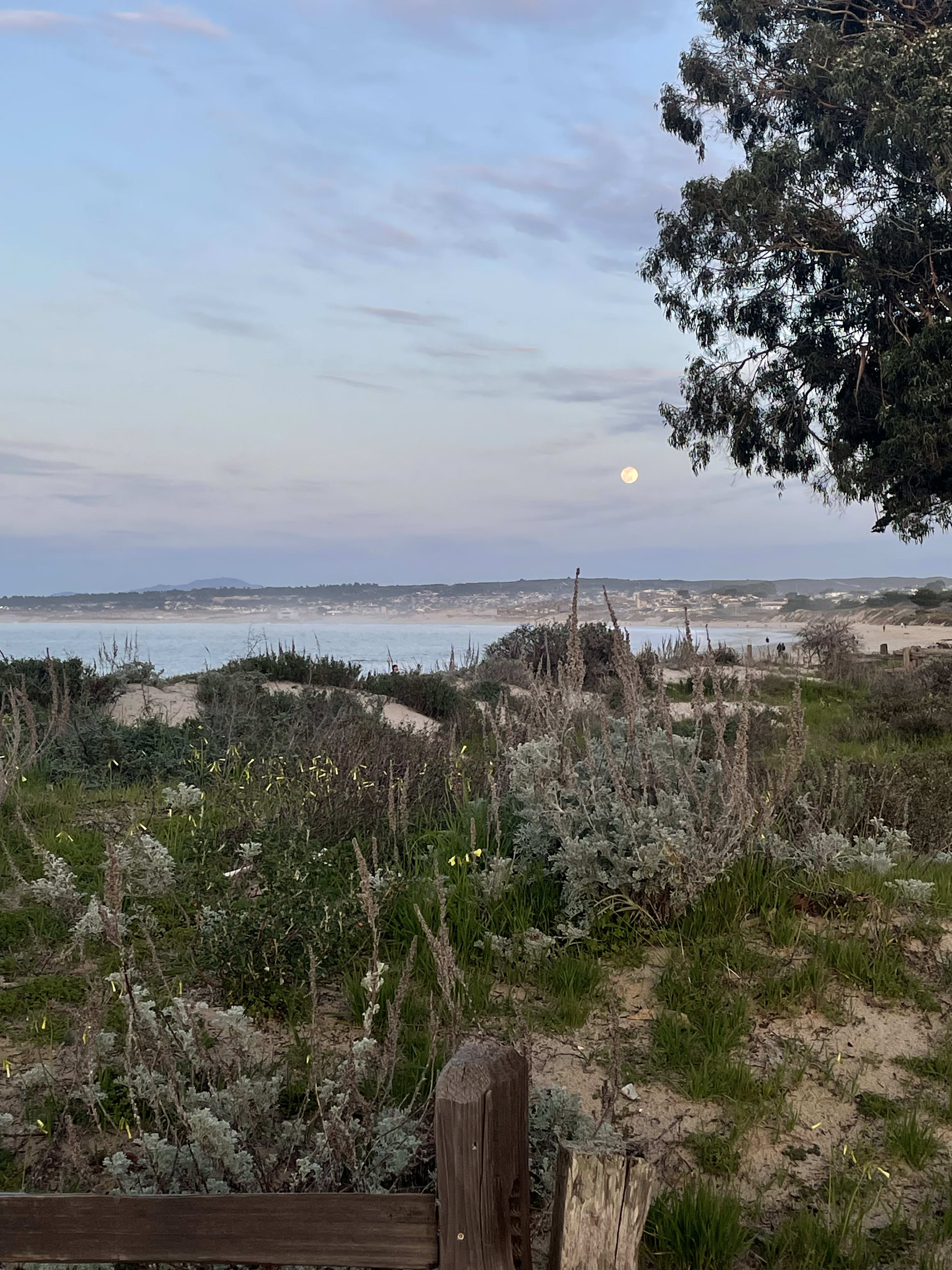 Full Moon Run