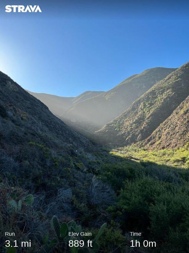 From Big Sur to Remicade Infusion