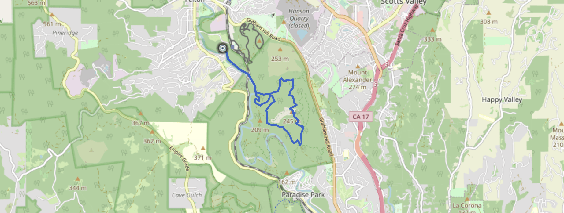 Santa Cruz Trail 10k in the redwoods!