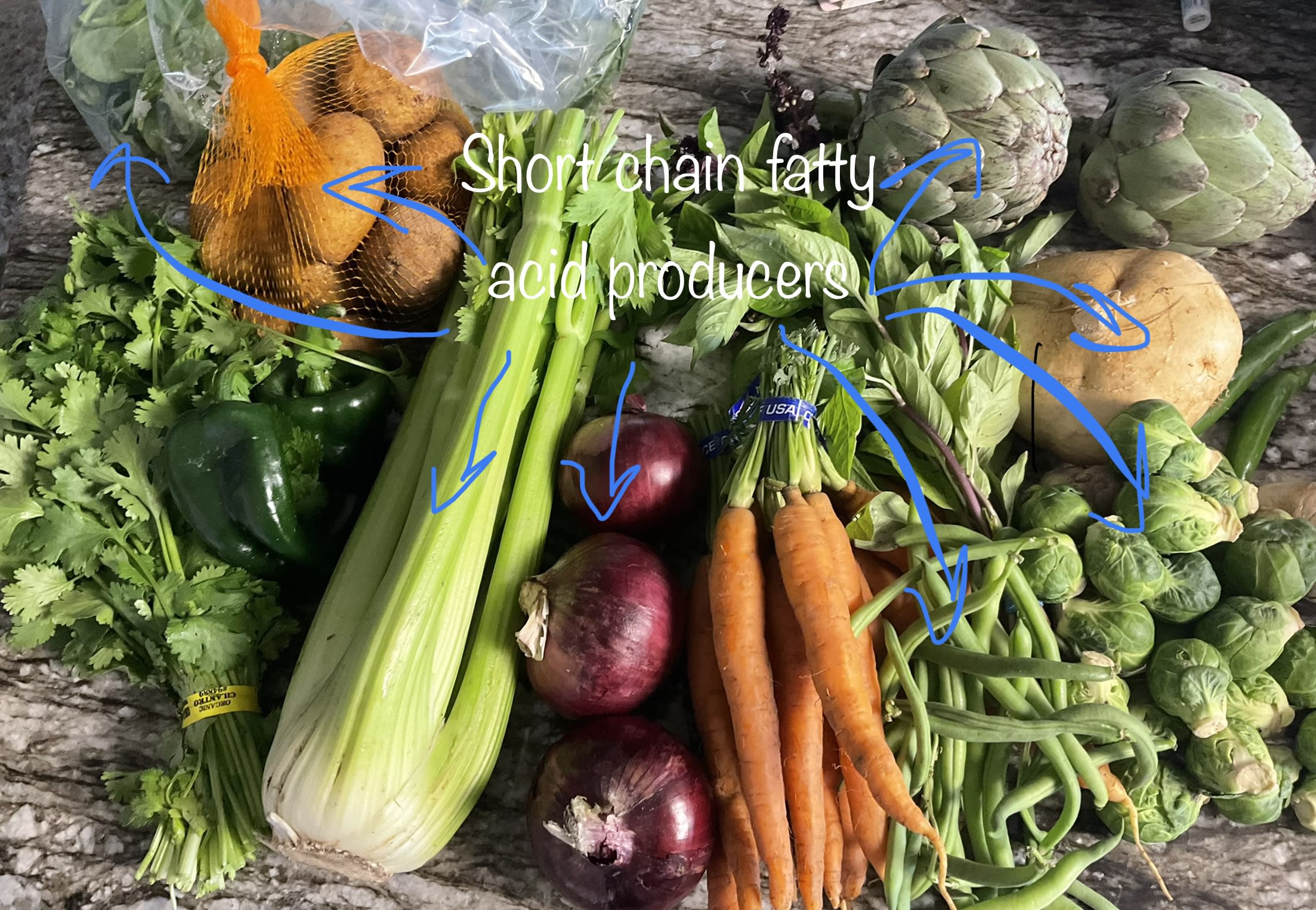 Short-Chain Fatty Acid Market Haul