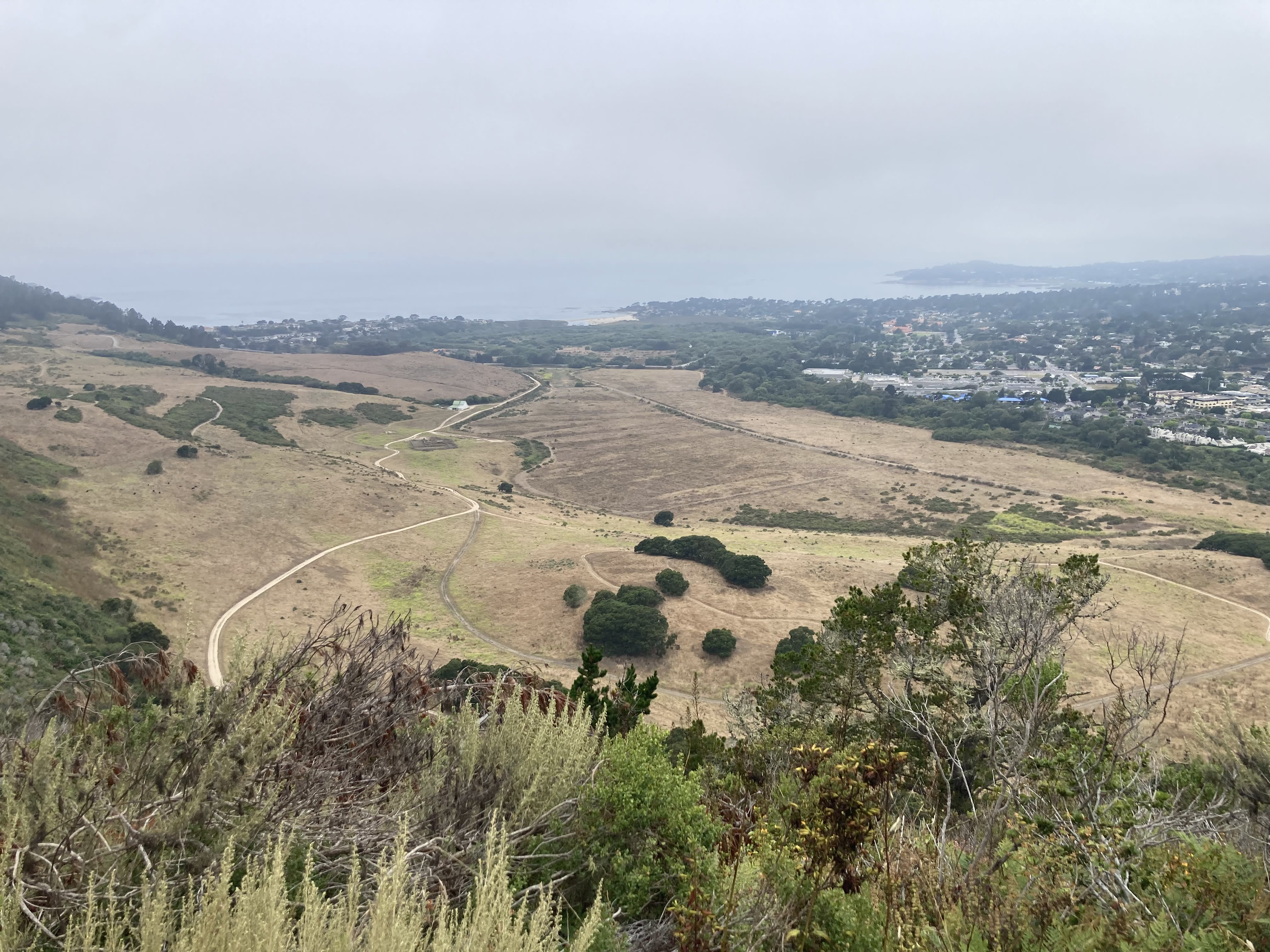 Looking at the week from Inspiration Point