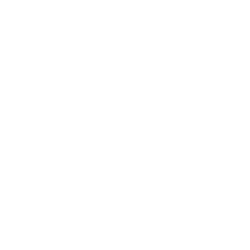 algorythmns and AI/ML