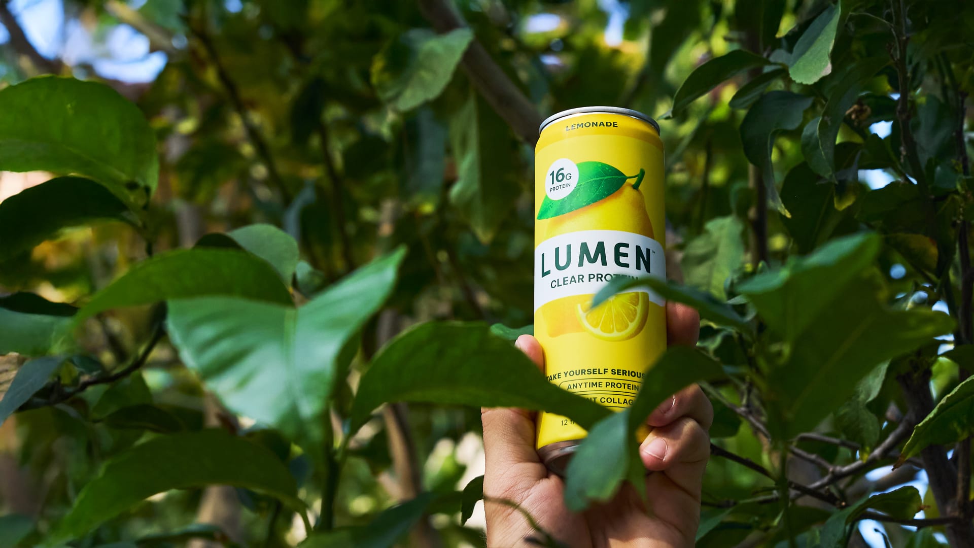 Hand holding a yellow Lumen Clear Protein lemonade can with 16g protein among green leafy branches.