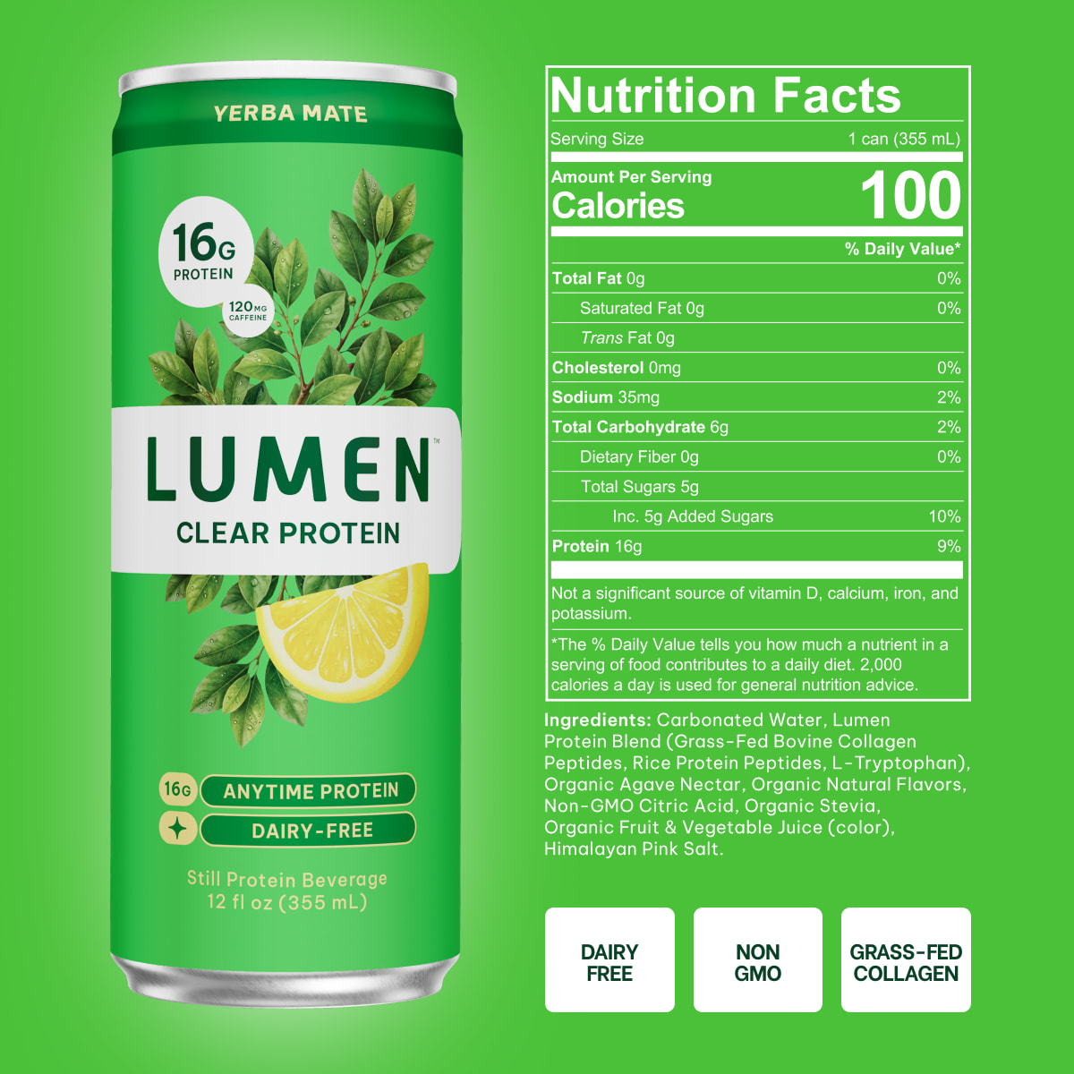 Yerba Mate Energy Clear Protein