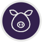 Pork