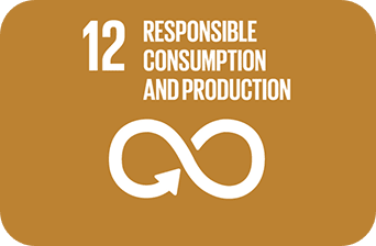 « ODD 12 Production et consommation responsables »