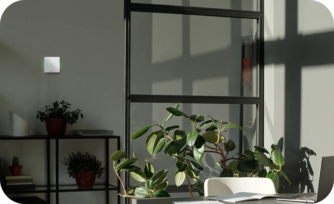 AirQ Sensor