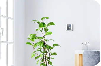 Discover Aidoo Wi-Fi