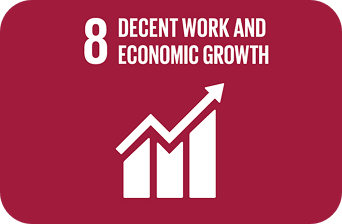 SDG 8 Decent Work and Economic Growth