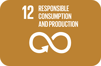 SDG 12 Responsible Consumption and Production