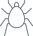 Mites