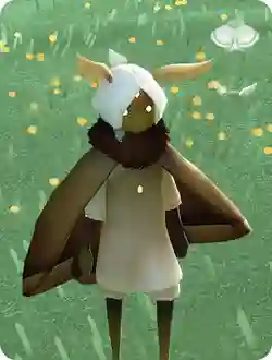 Moth Appreciation Pack