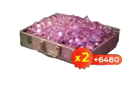6480+6480 Pink Diamonds