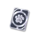 Advanced Companion Handbook