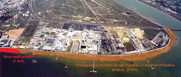 Huelva (Spain): The port restores the estuary and explains its environment