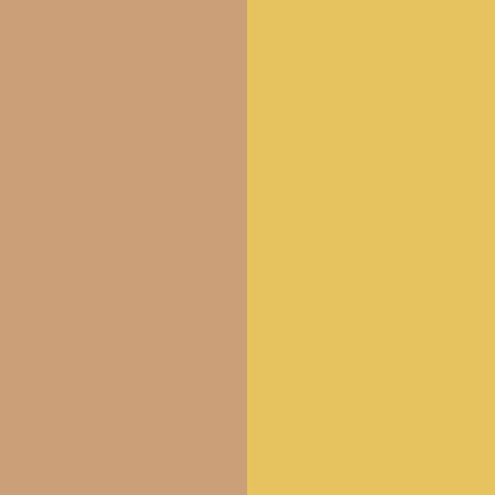 BEIGE/GOLD