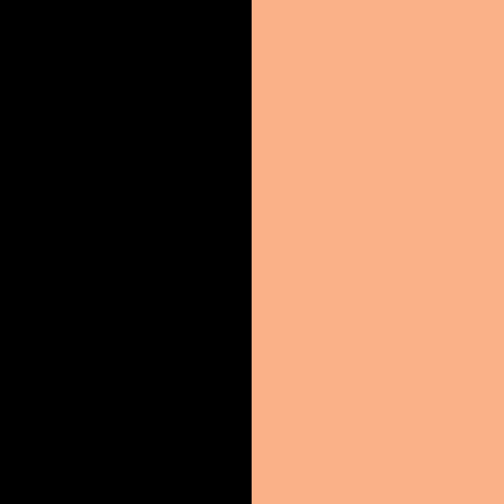 BLACK/TANGERINE ORANGE