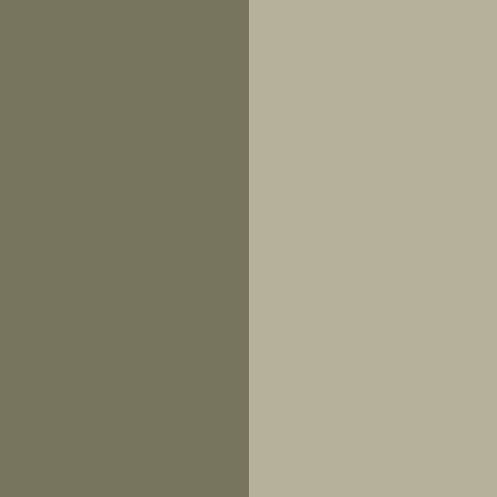 FOREST GREEN/SAGE