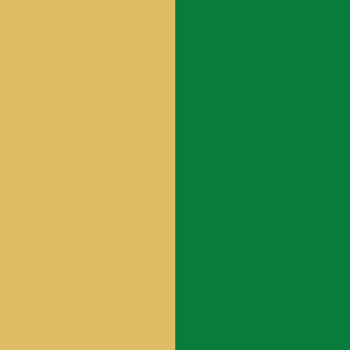 GOLD/EMERALD MULTI
