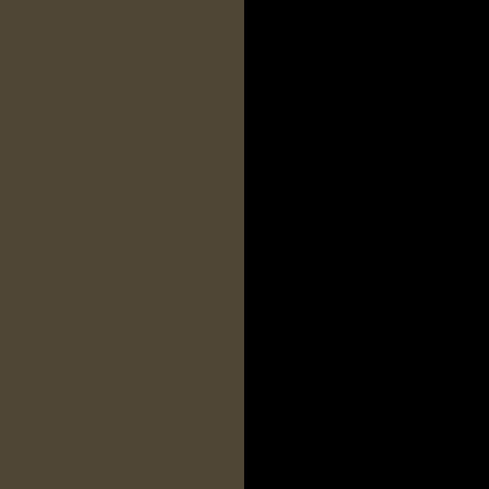 KHAKI/BLACK