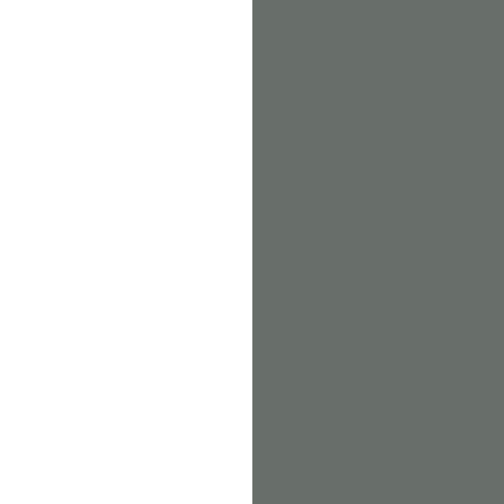 WHITE/MIDNIGHT GREY