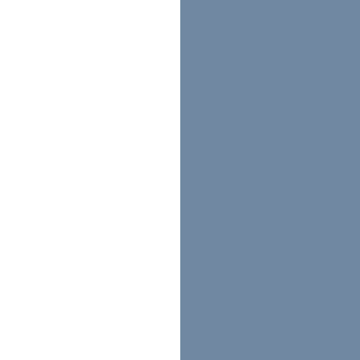 WHITE/STORM BLUE