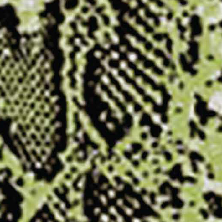 GREEN SNAK EFFECT