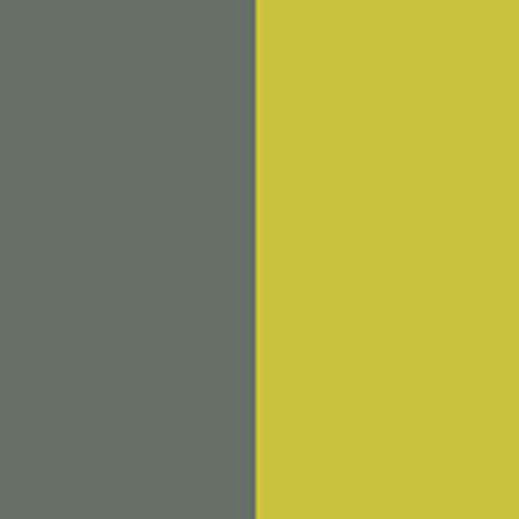 MIDNIGHT GREY/CITRUS YELLOW