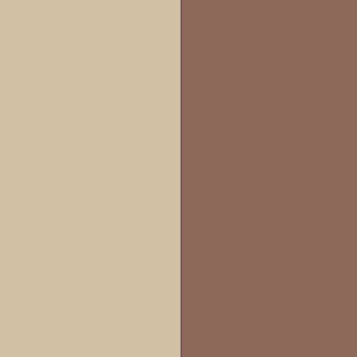NATURAL/TAN