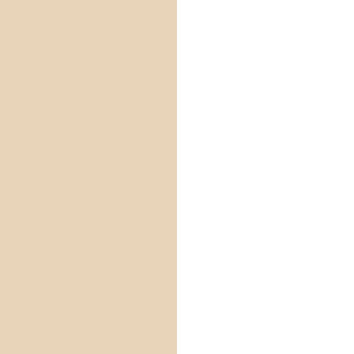 ON TAUPE/WHITE