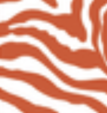 CORAL ZEBRA