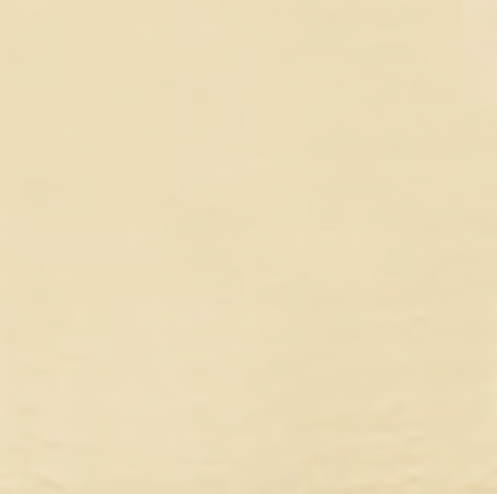 SANDSHELL