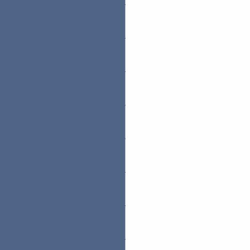 ACID BLUE/WHITE