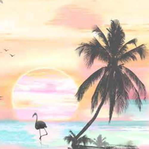 SUNSET SKY