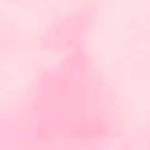 BLUSH INK