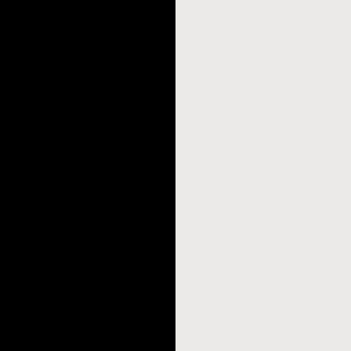 BLACK/SILVER