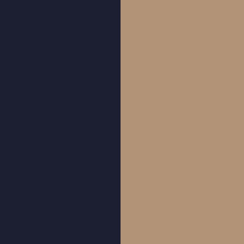 FRENCH NAVY/GOLD