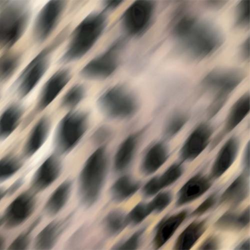 LEOPARD BLUR