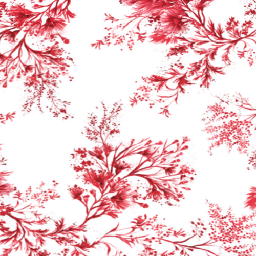 SCARLET BRUSH
