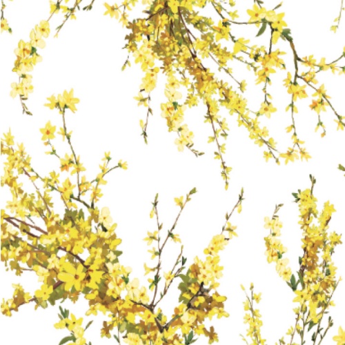 WATTLE BREEZE