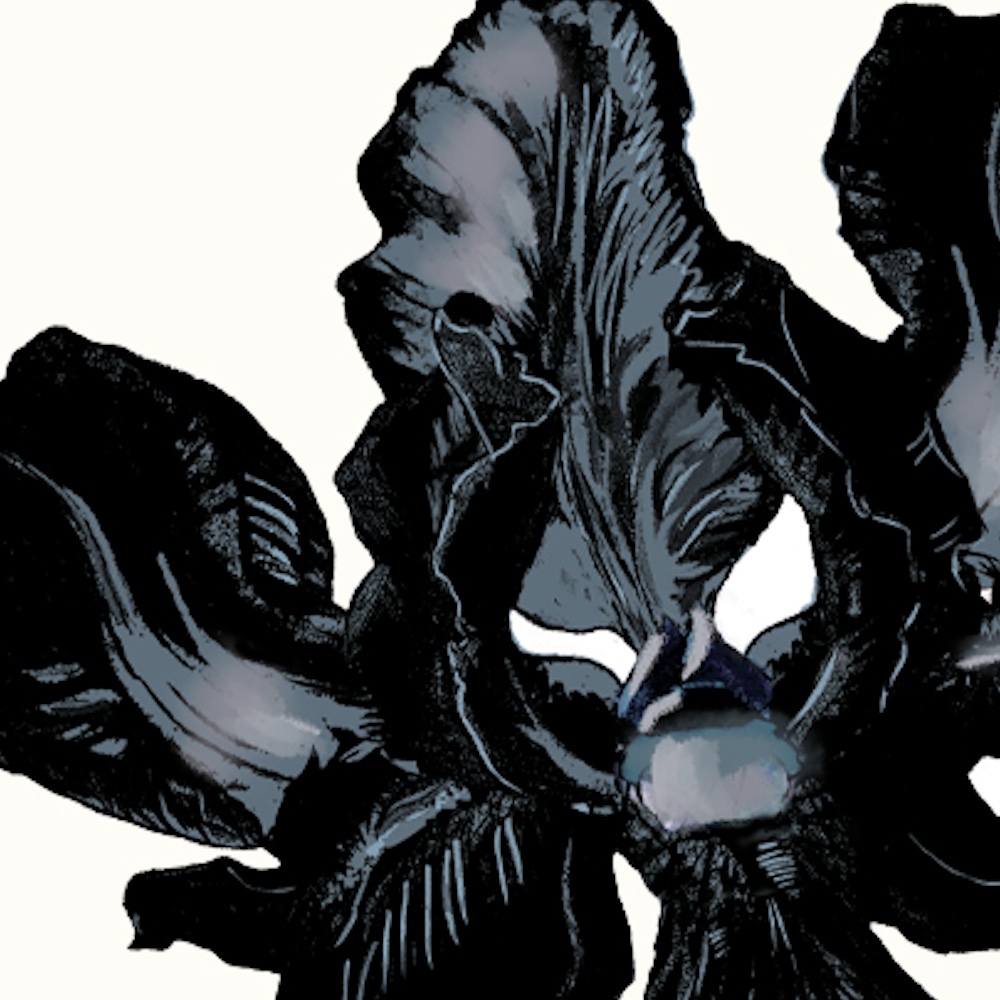 INK ORCHID