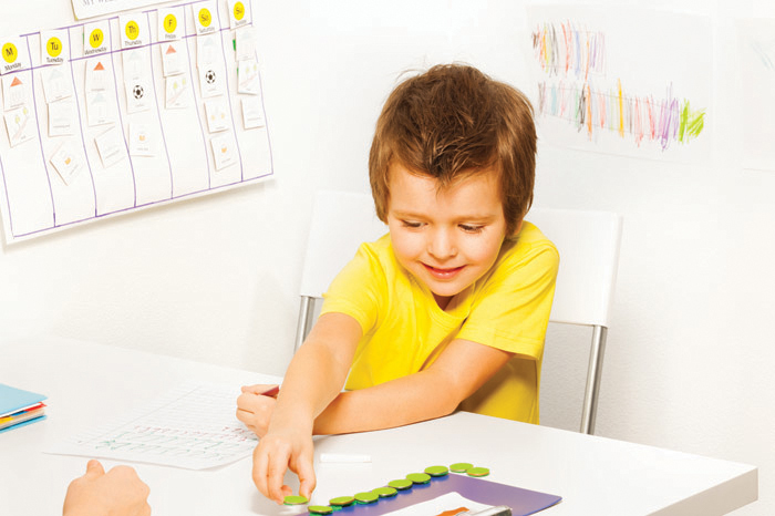 Teaching the  TEACCH Method