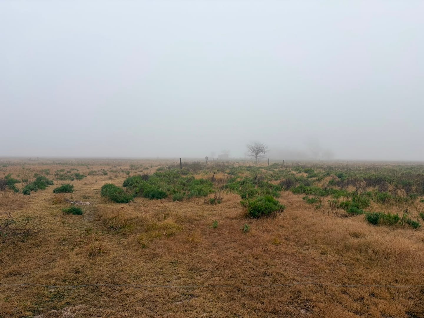 Vendo Campo Ganadero de 110 has en Sa Pereira